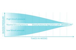 Blood pressure regulation