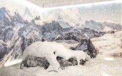 KLAFS SNOW PARADISE Picture Line - Alpine