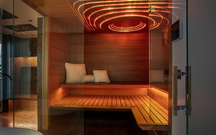 Exclusive sauna Aurora