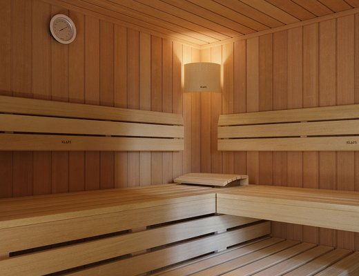 HOME sauna: Your perfect introduction to the sauna world - KLAFS