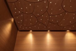 CURVE ceiling in wenge wood, with POLAR STARRY SKY
